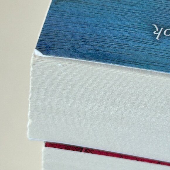 The Adventures Of The Borrowers by Mary Norton Box Set 5 Books Young Reader - Picture 10 of 16